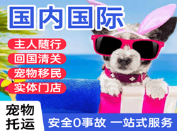 日照山字河机场物流国际宠物托运 【国
